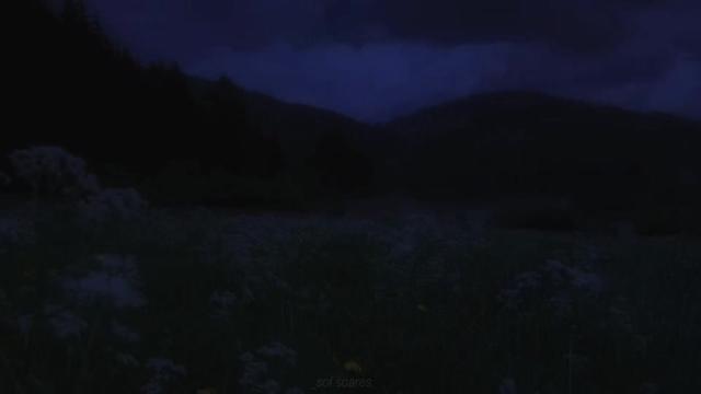 @𝘴𝘰𝘧𝘺. ✷