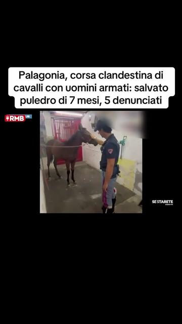 @Edoardo Picone | Giornalista