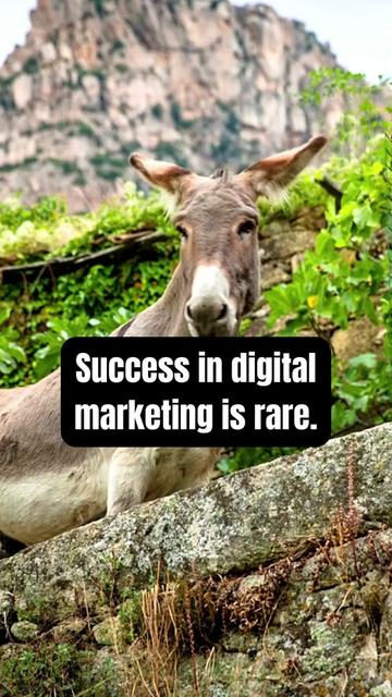@Digital Marketing Pros ✨