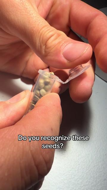@SEEDTIVA