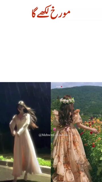 @M͢e͢h͢w͢i͢s͢h͢ A͢l͢i͢ ✍️📝🥀