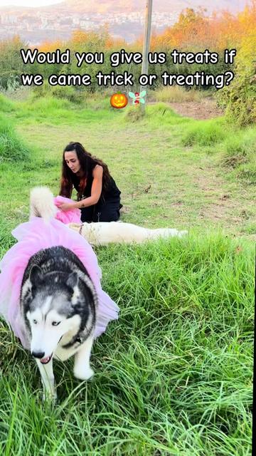 @Nala & Bella 💜