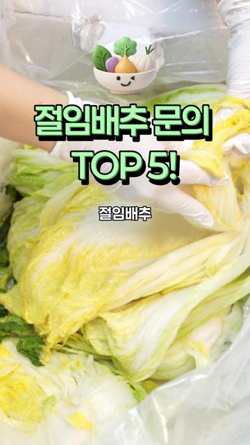 @아삭-괴산절임배추