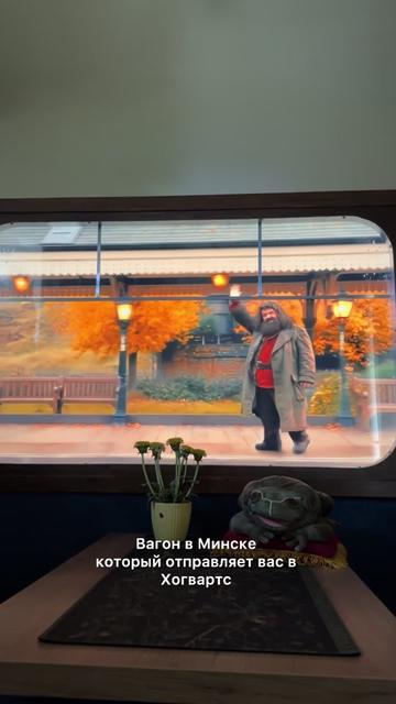 @ВИКТОРИЯ / ОБЗОРЫ