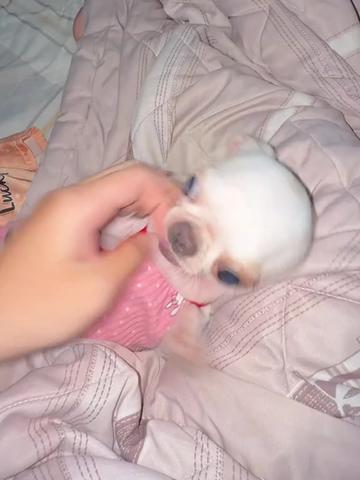 @L&uacute;n L&egrave;👽