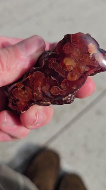 @Agate Magnet