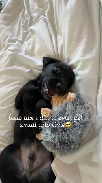 @Kaitlyn Lechak