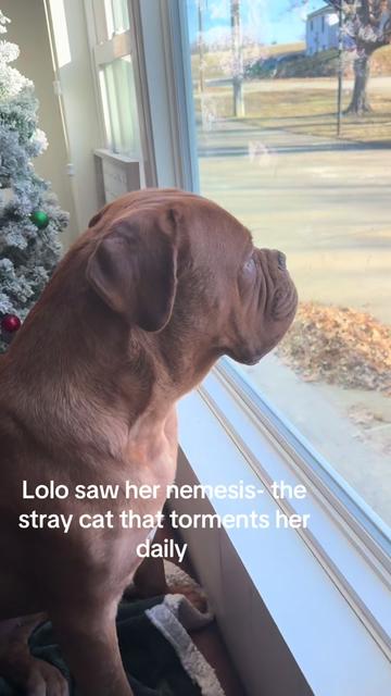 @MovingMamaMayfield