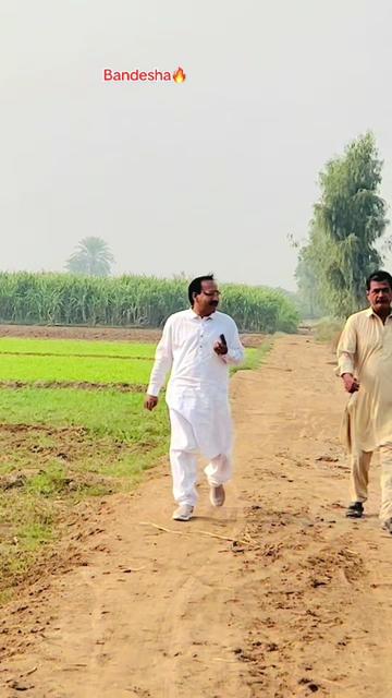 @Sajjad Bandesha