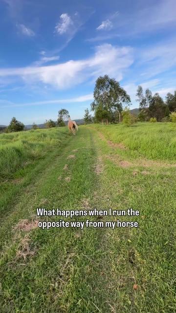 @animalmemester