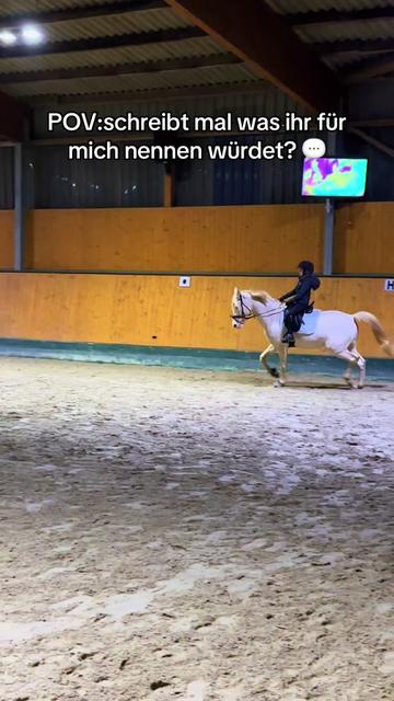 @Shanea & ihre Ponys &hearts;️🐴