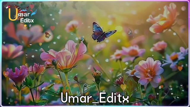@Umar Writes ✍🏻