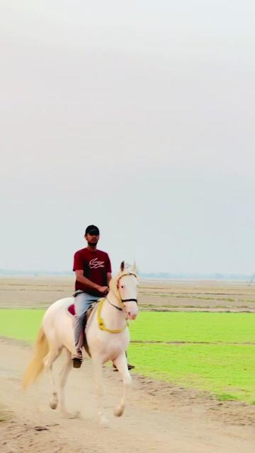 @کرم کھرل🦅