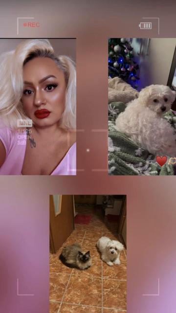 @🎀Kristin🎀Kristin🎀