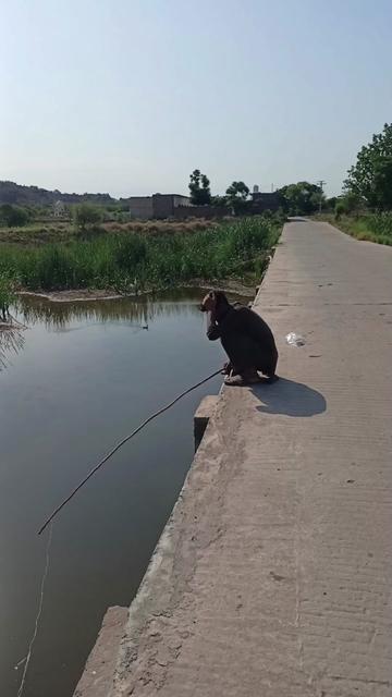 @Hasnain Kahout