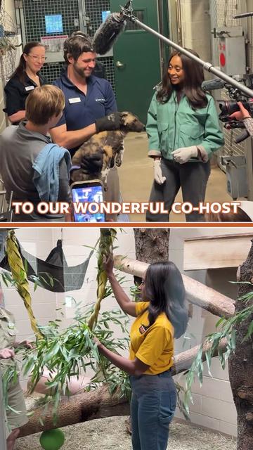 @Mutual of Omaha's Wild Kingdom