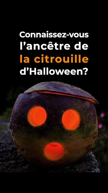 @Québec FIER