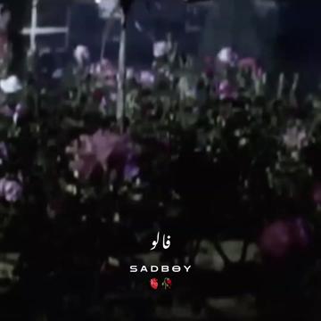 @😢 SAD BOY🎶