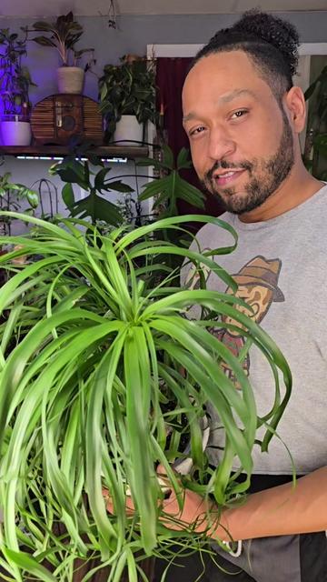 @JT - BigEGOPlants