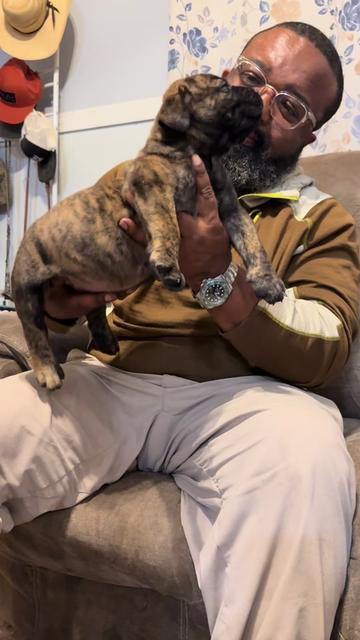 @kyboerboels