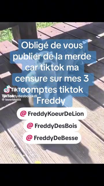 @Freddy Koeur De Lion