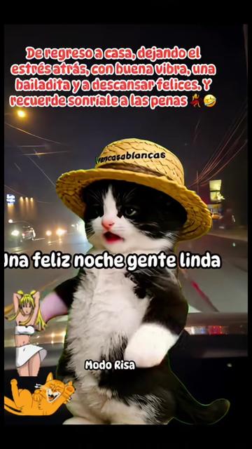@Pedro Cruz