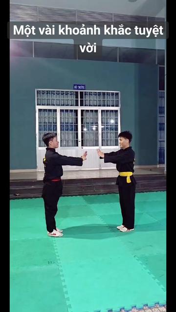 @V&otilde; Đường Tr&iacute; Vũ🇻🇳