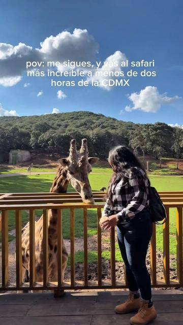 @Charlie Recomienda