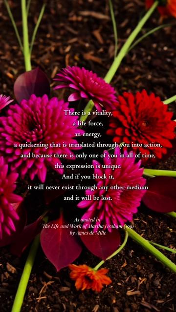@Jasmin | A Rooted Life