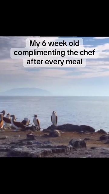 @DLC