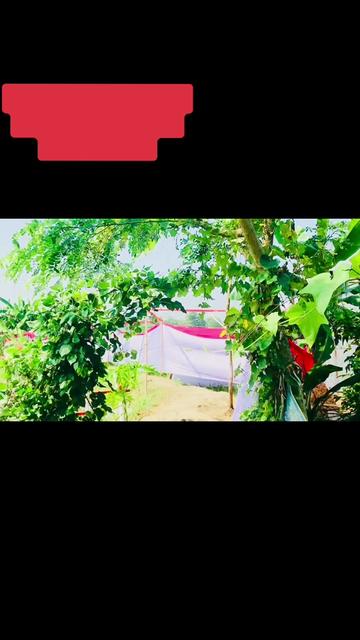 @💠::::💠 ভুড়ীর জামাই 💠 ::::💠