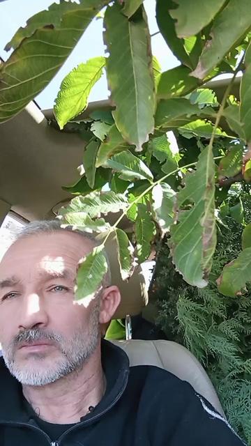 @Duran Karakaş
