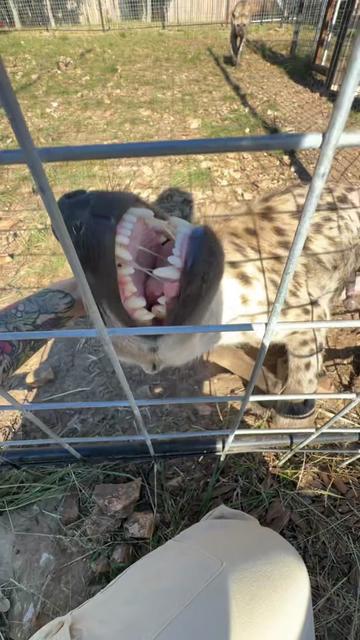 @Texas Wildlife Park