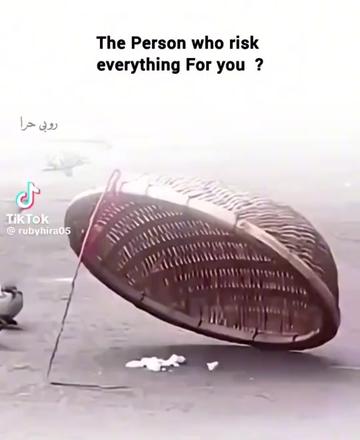 @BASHAOOR.