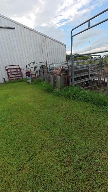 @ABC Homestead