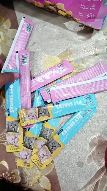 @Medayo Petcare