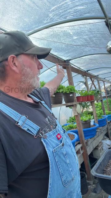 @GROWING_EDIBLE_PLANTS
