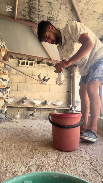 @Abdul Reşit Arıcak