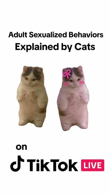 @tiktoklive_us
