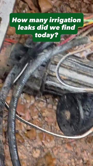 @Eagle Eye Home Inspections