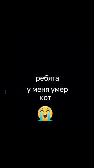 @KOLA💨