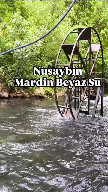 @gulankocbilgic