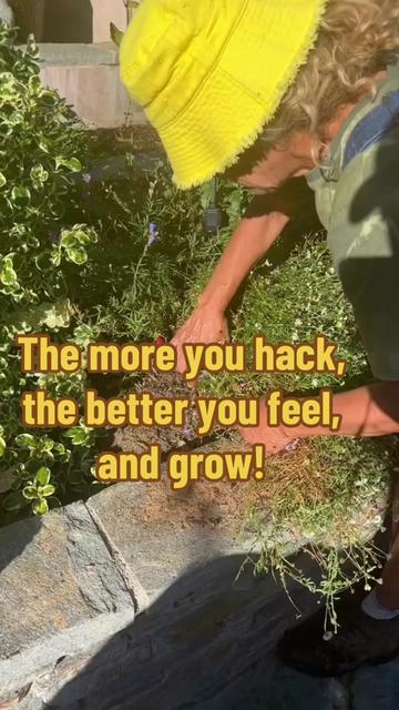 @firmlyplanteddesigns