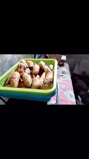 @Sehat Kaya Sejahtera