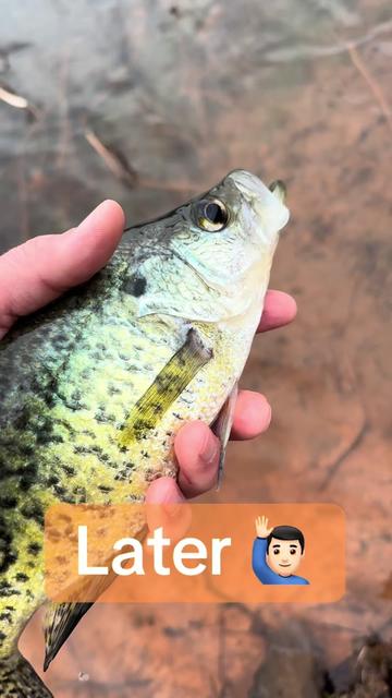 @Flyfishing_Sucks