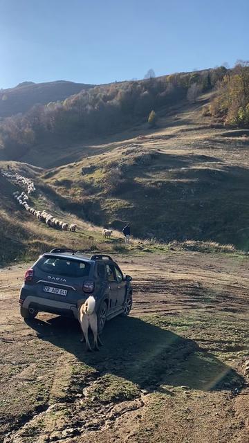 @karagozkoyunculuk2852
