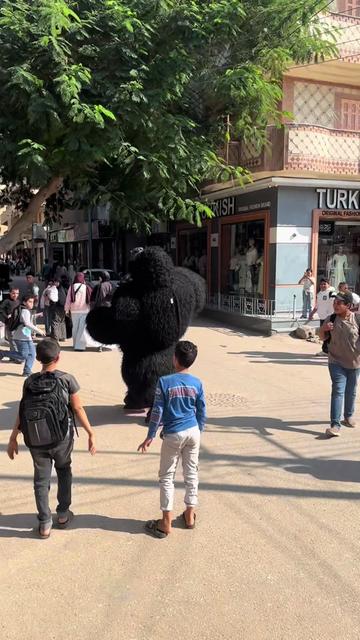 @بودا بتاع غوريلا🦍🔥