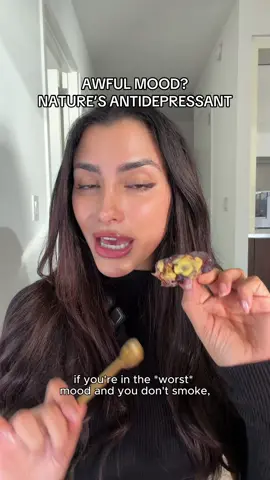 @Ariana Medizade