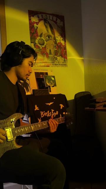 @Guitar Tickler ™️