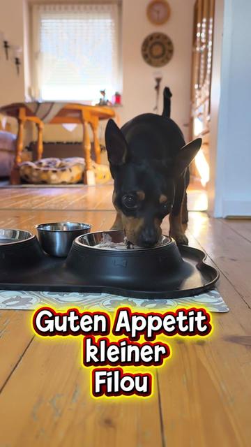 @ICH BIN'S